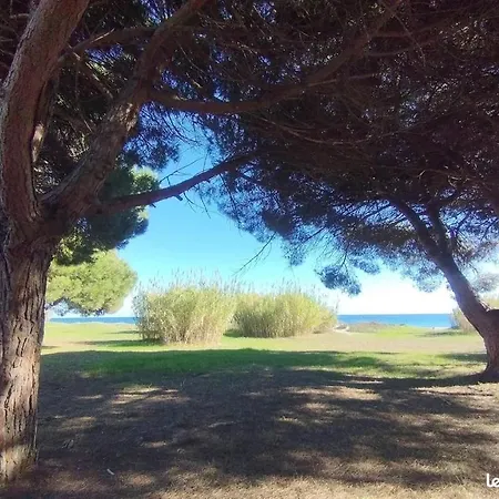 Corse Tranqu'ile Apartment Poggio Mezzana